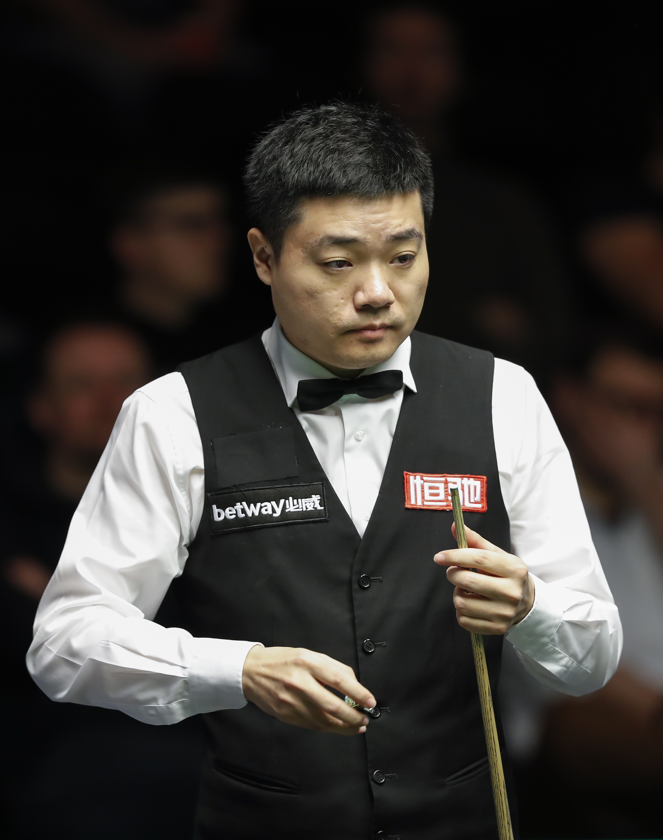 过去一年 过去一年